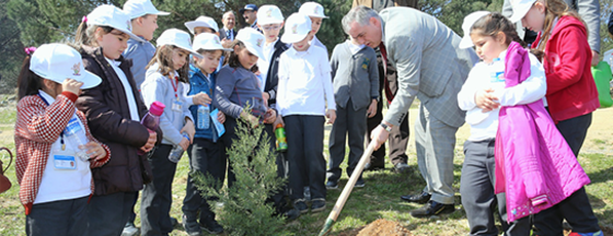 Eyüp'te ‘Fidanlar ağaca, ağaçlar ormana' dönecek Eyüp'te ‘Fidanlar ağaca, ağaçlar ormana' dönecek