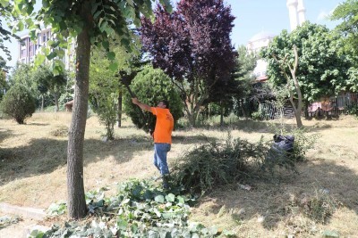 Akşemsettin Mahallesinde fiziki tarama çalışmaları yapıldı Akşemsettin Mahallesinde fiziki tarama çalışmaları yapıldı