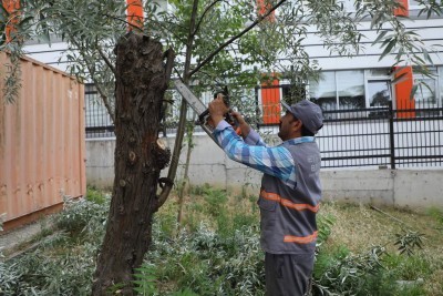 “Fiziki Tarama Çalışmaları” Emniyettepe Mahallesinde “Fiziki Tarama Çalışmaları” Emniyettepe Mahallesinde