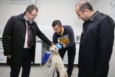 Sokak Hayvanları Rehabilitasyon Ünitesi hizmete açıldı