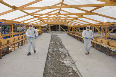 Kemerburgaz Kurban Satış Alanına İlk Kurbanlıklar Geldi Kemerburgaz Kurban Satış Alanına İlk Kurbanlıklar Geldi