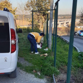 Sokaktaki Can Dostlarımız Bize Emanet Sokaktaki Can Dostlarımız Bize Emanet