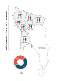 Nüfusun Cinsiyet Yapısı