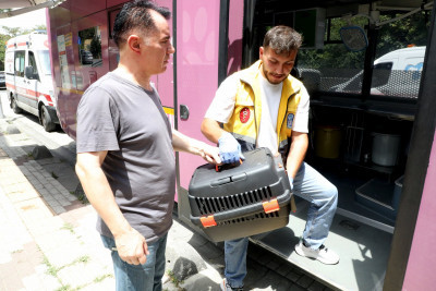 VETBÜS sahipsiz minik dostlarımız için yollarda VETBÜS sahipsiz minik dostlarımız için yollarda