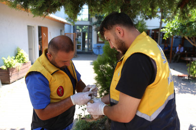 Sokaktaki can dostlarımız için yoğun ekim mesaisi