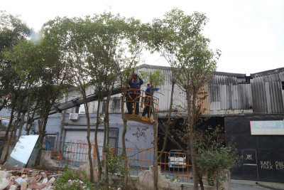 Eyüpsultan Genelinde Ağaç Budama Çalışmaları Tüm Hızıyla Sürüyor