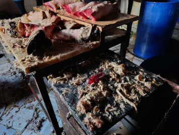 Eyüpsultan'da Ruhsatsız Hayvan Ayağı İşleme Tesisi Mühürlendi