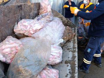 Eyüpsultan'da Ruhsatsız Hayvan Ayağı İşleme Tesisi Mühürlendi