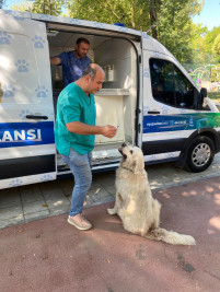 Patili dostlarımız için hizmet üretiyoruz