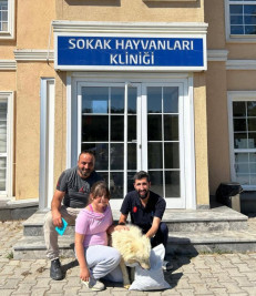 Patili dostlarımız için hizmet üretiyoruz