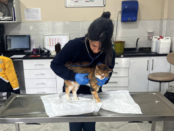 Patili dostlarımız için hizmet üretiyoruz