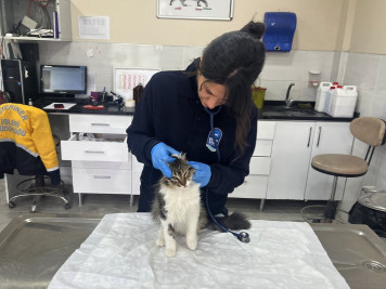 Patili dostlarımız için hizmet üretiyoruz