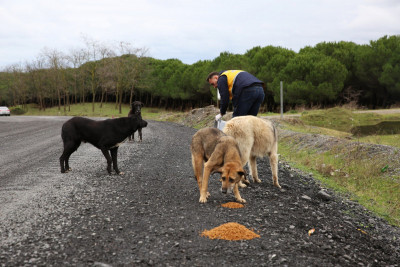Patili dostlarımız için hizmet üretiyoruz