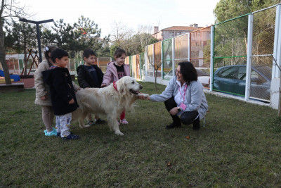 Hurley'in yeni sıcak yuvası Çırçır ÇEM oldu