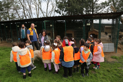 Hurley'in yeni sıcak yuvası Çırçır ÇEM oldu