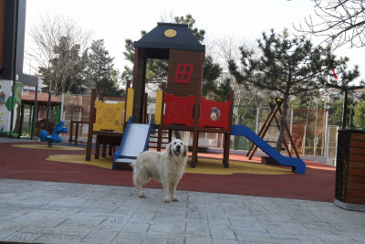 Hurley'in yeni sıcak yuvası Çırçır ÇEM oldu