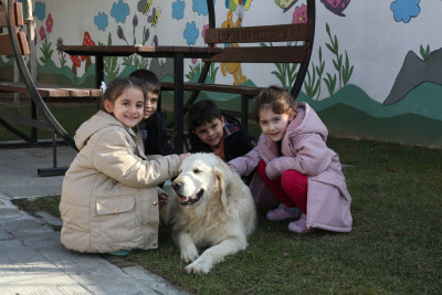 Hurley'in yeni sıcak yuvası Çırçır ÇEM oldu