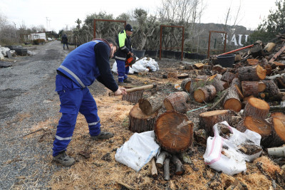 Fırtınada devrilen ağaçlar ihtiyaç sahiplerini ısıtıyor