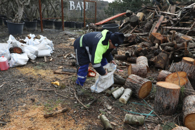 Fırtınada devrilen ağaçlar ihtiyaç sahiplerini ısıtıyor