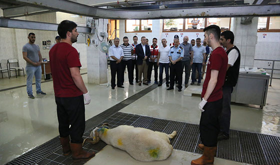 Eyüp'te 15 Temmuz Şehitleri için Kurban Kesildi Eyüp'te 15 Temmuz Şehitleri için Kurban Kesildi