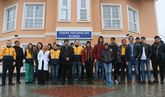 Öğrenciler, Sokak Hayvanlarını Besledi Öğrenciler, Sokak Hayvanlarını Besledi