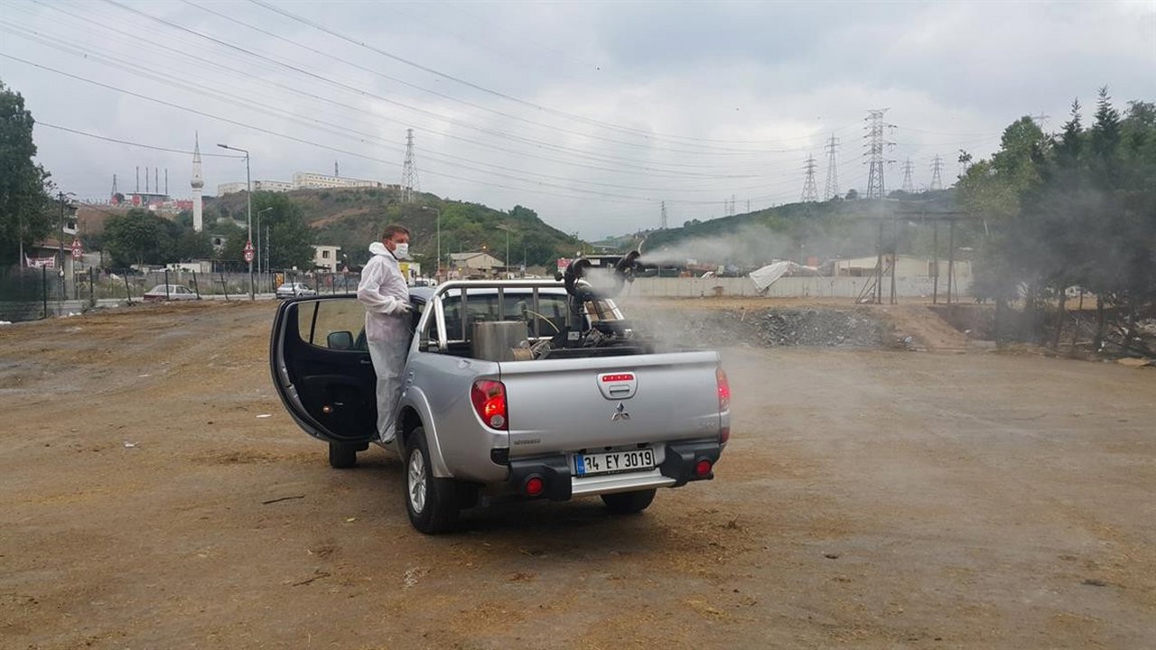 Eyüp Belediyesi, Veteriner İşleri Müdürlüğü, ilaçlama, 2019 Yaz Sezonu Haşere ile Mücadele