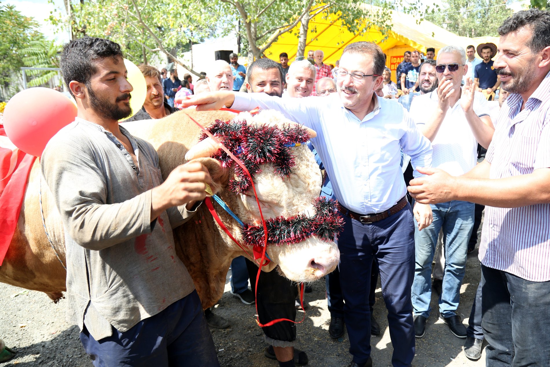 Kurban Bayramı, Eyüpsultan Belediyesi UZEL Kurban Satış ve Kesim Alanı, Bora Kurban Bayramı, Eyüpsultan Belediyesi UZEL Kurban Satış ve Kesim Alanı, Bora