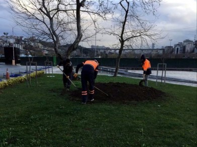 Eyüpsultan Belediyesi, Eyüpsultan, Park ve Bahçeler Müdürlüğü, park, peyzaj