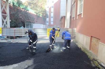 Eyüpsultan Belediyesi, Fen İşleri Müdürlüğü, Park ve Bahçeler Müdürlüğü, Eyüpsultan Devlet Hastanesi