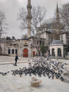 Eyüpsultan Güvercinlerinin Rızkı Antalya'dan Geldi Eyüpsultan Güvercinlerinin Rızkı Antalya'dan Geldi