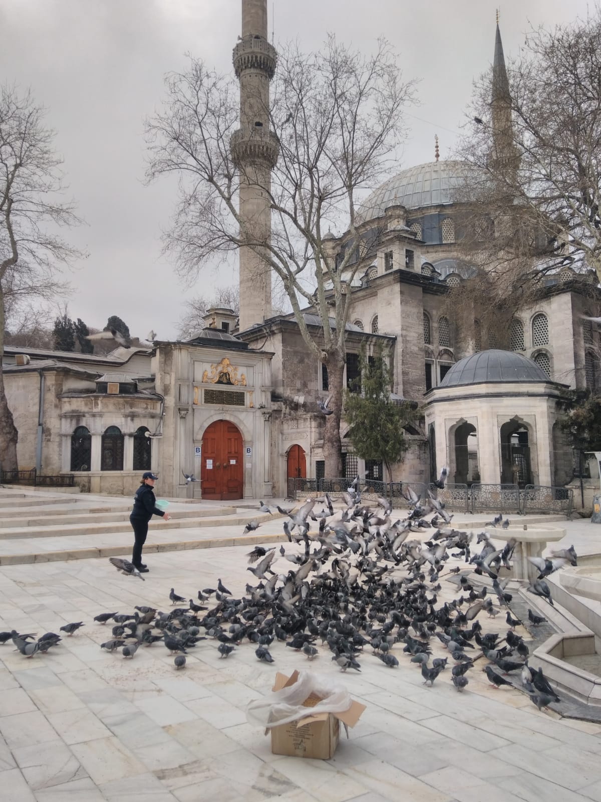 Eyüpsultan Güvercinlerinin Rızkı Antalya'dan Geldi Eyüpsultan Güvercinlerinin Rızkı Antalya'dan Geldi