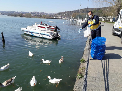 Eyüpsultan'daki Minik Dostlarımız Bize Emanet