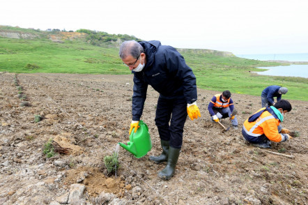 Eyüpsultan'da Lavanta Cenneti Oluyor Eyüpsultan'da Lavanta Cenneti Oluyor