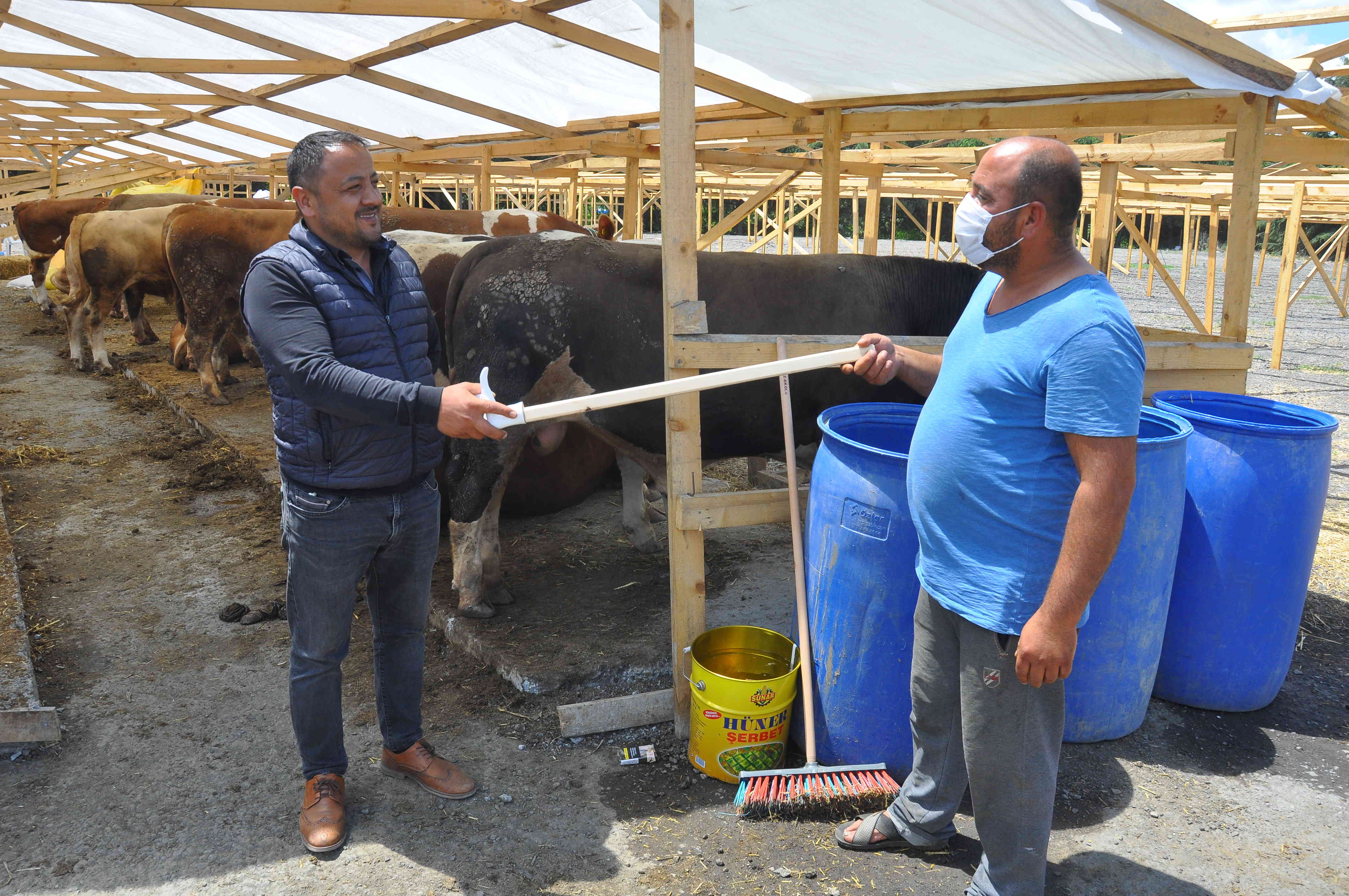 Kemerburgaz Kurban Satış Alanına İlk Kurbanlıklar Geldi Kemerburgaz Kurban Satış Alanına İlk Kurbanlıklar Geldi