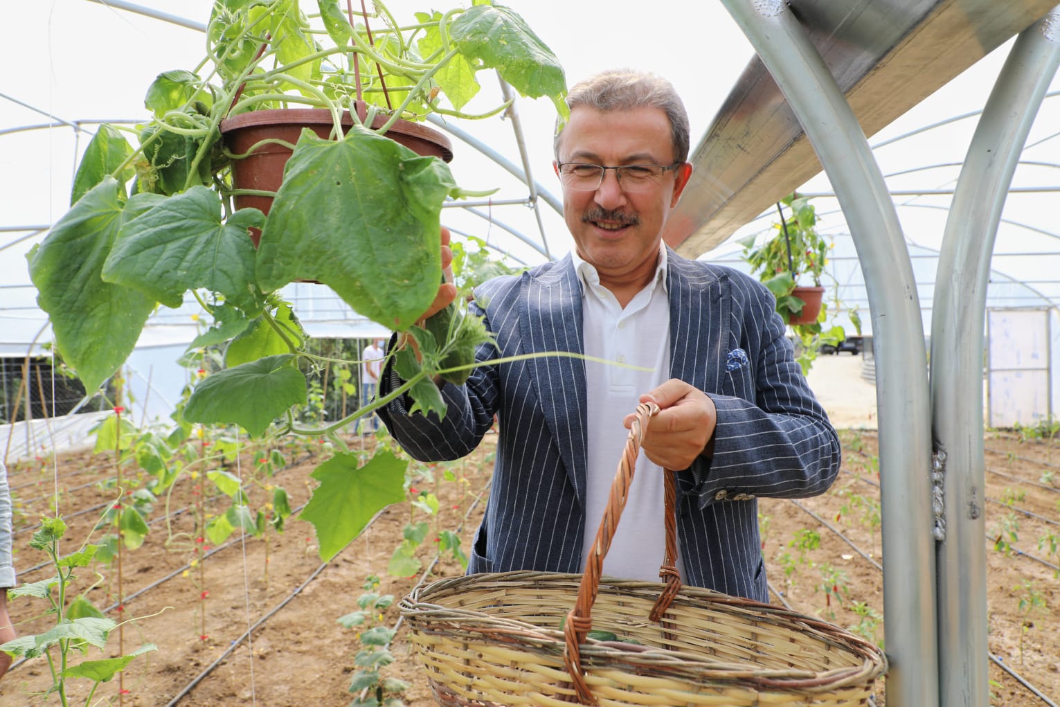 sera, Odayeri, Alibeyköy sera, Odayeri, Alibeyköy