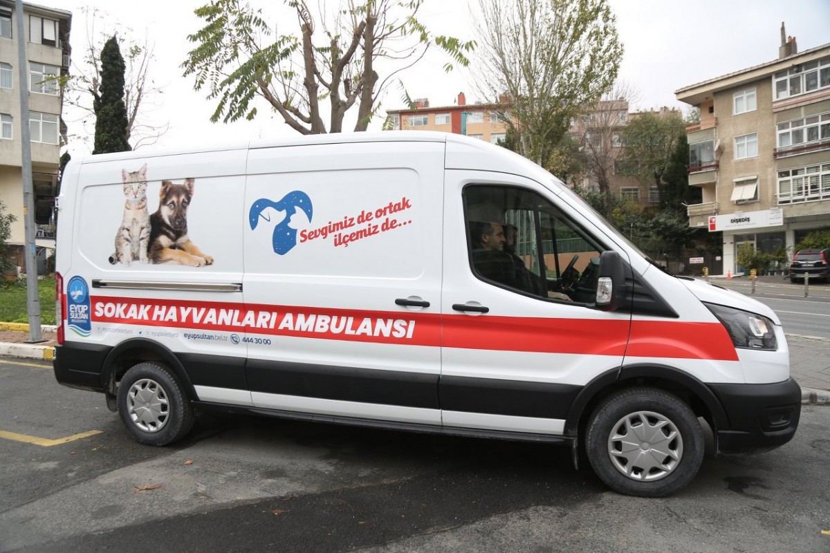Sevimli dostlarımızın Kuduz Aşılarını yapıyoruz Sevimli dostlarımızın Kuduz Aşılarını yapıyoruz