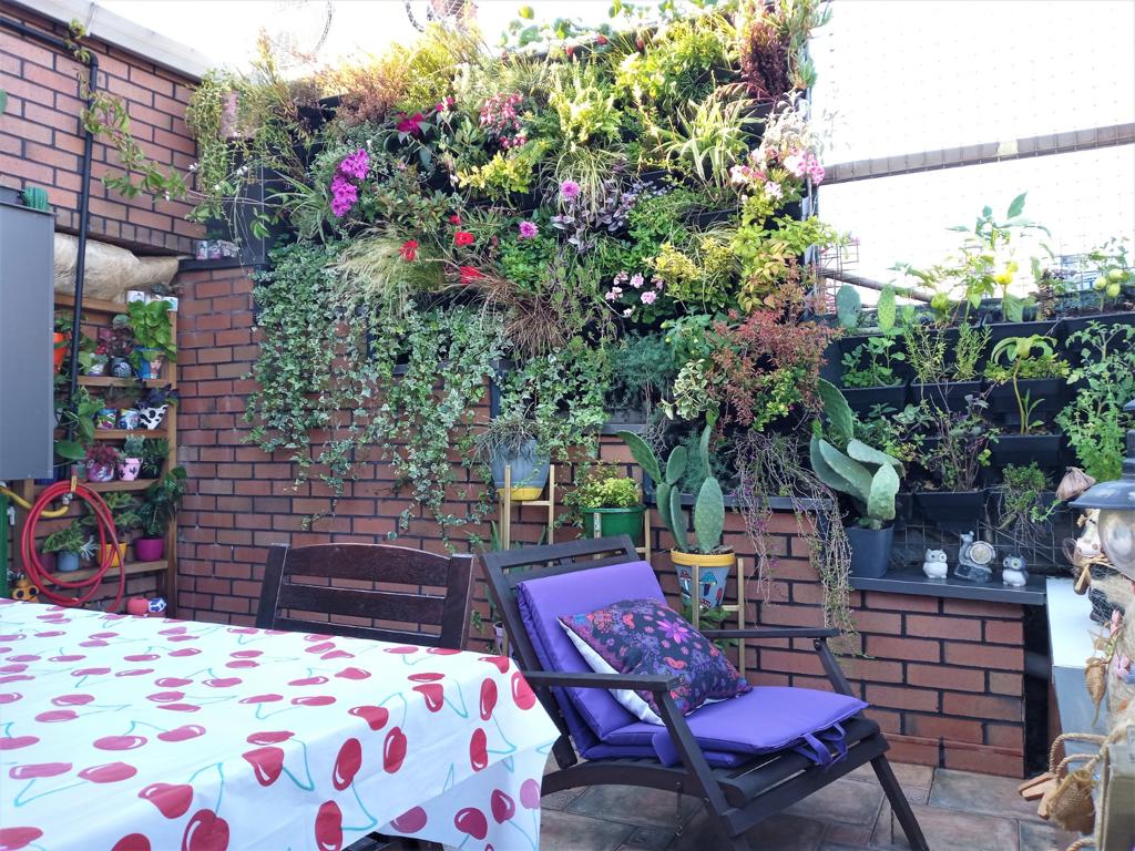 bahçe balkon yarışması bahçe balkon yarışması