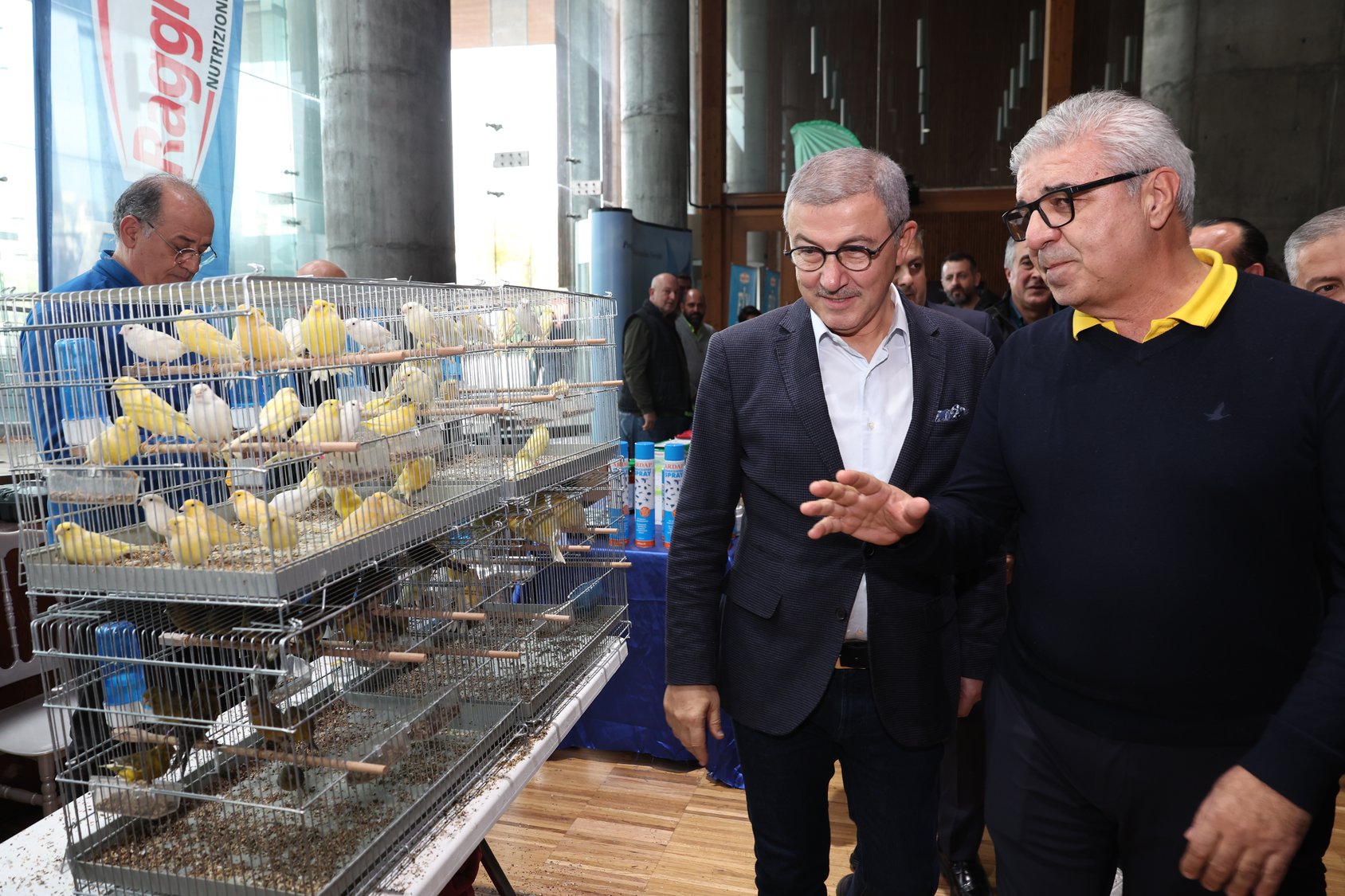 Eyüpsultan'da renkli kanarya festivali Eyüpsultan'da renkli kanarya festivali