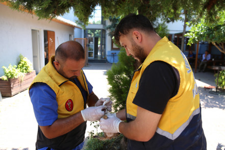 Ağustos ayında 75 sokak hayvanımızı kısırlaştırdık Ağustos ayında 75 sokak hayvanımızı kısırlaştırdık