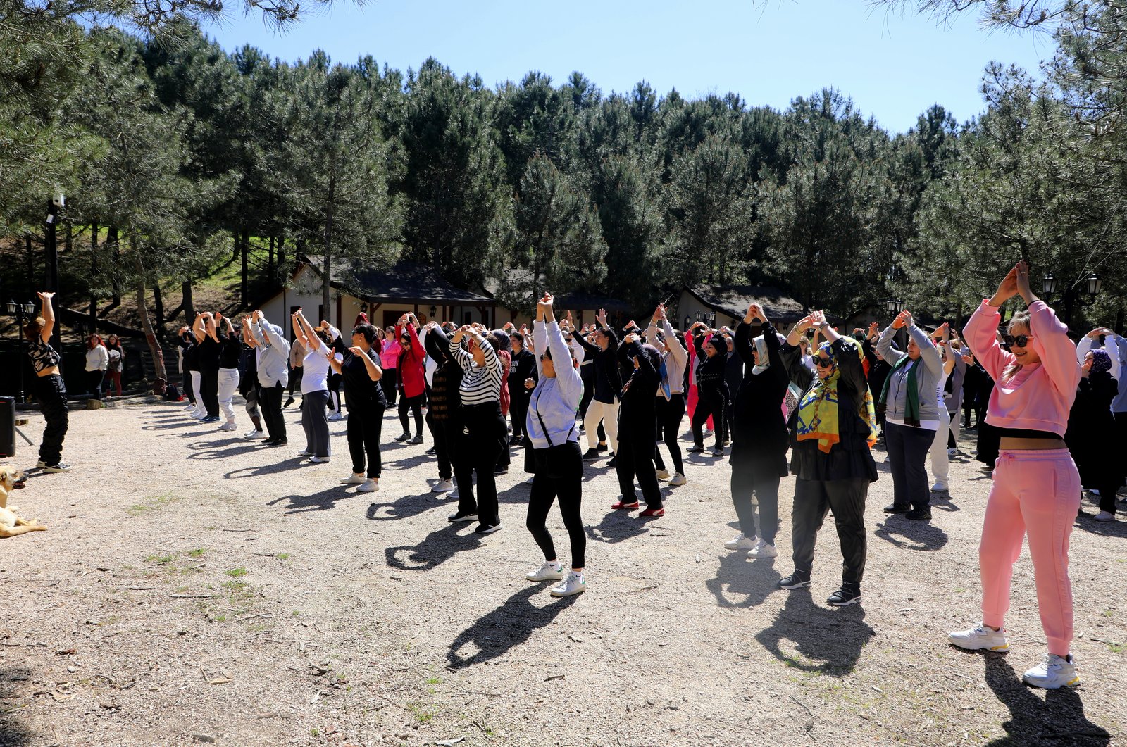 Eyüpsultanlı kadınlar doğayla iç içe sporla buluştu! Eyüpsultanlı kadınlar doğayla iç içe sporla buluştu!