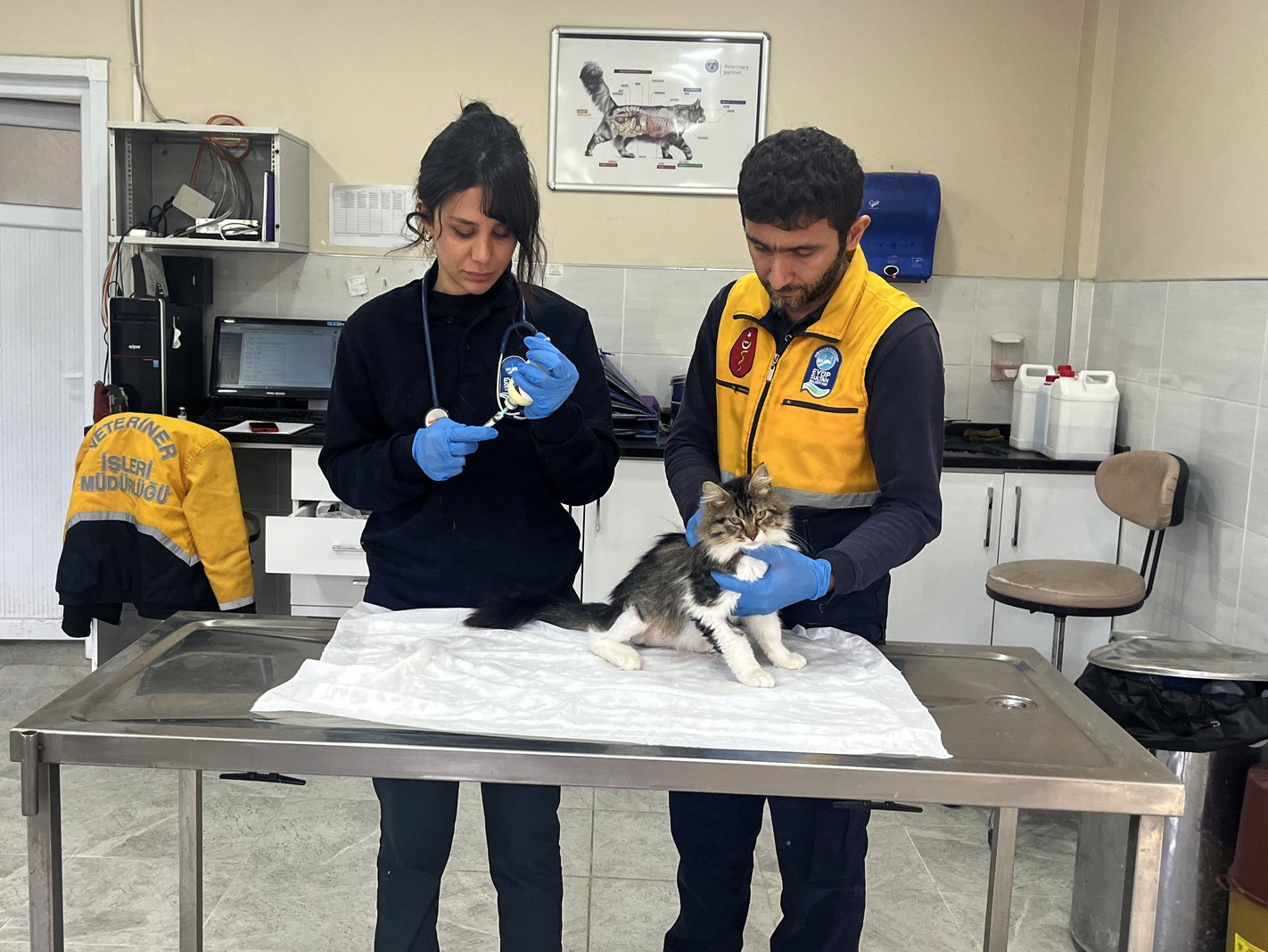 Patili dostlarımız için hizmet üretiyoruz