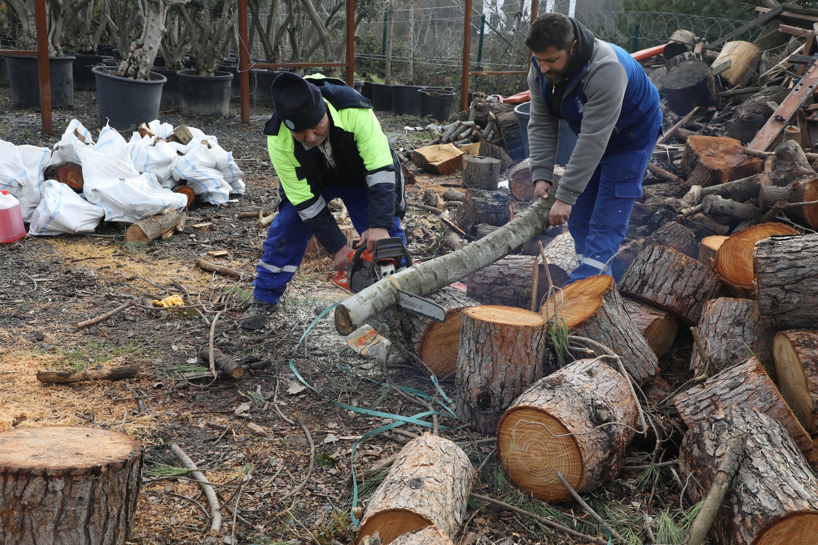 Fırtınada devrilen ağaçlar ihtiyaç sahiplerini ısıtıyor Fırtınada devrilen ağaçlar ihtiyaç sahiplerini ısıtıyor