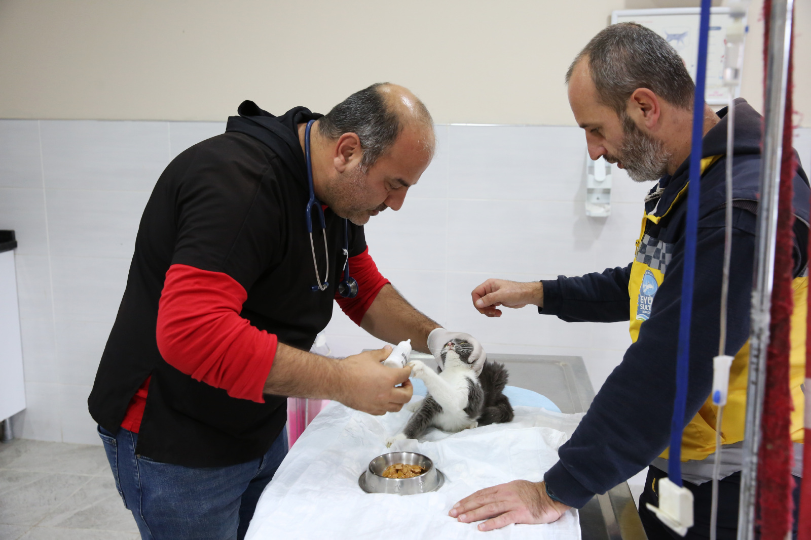 Eyüpsultan'da Mart ayında patili dostlar için yoğun çalışma