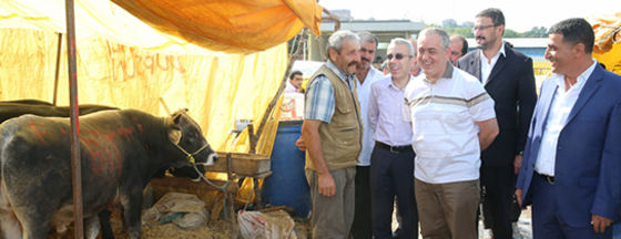 Esnaf Kurbanlık Satışlarından Memnun Esnaf Kurbanlık Satışlarından Memnun
