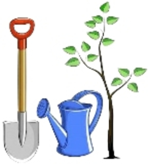 Park ve Bahçeler Müdürlüğü 12.12.2014 Günlük Çalışma Programı Park ve Bahçeler Müdürlüğü 12.12.2014 Günlük Çalışma Programı