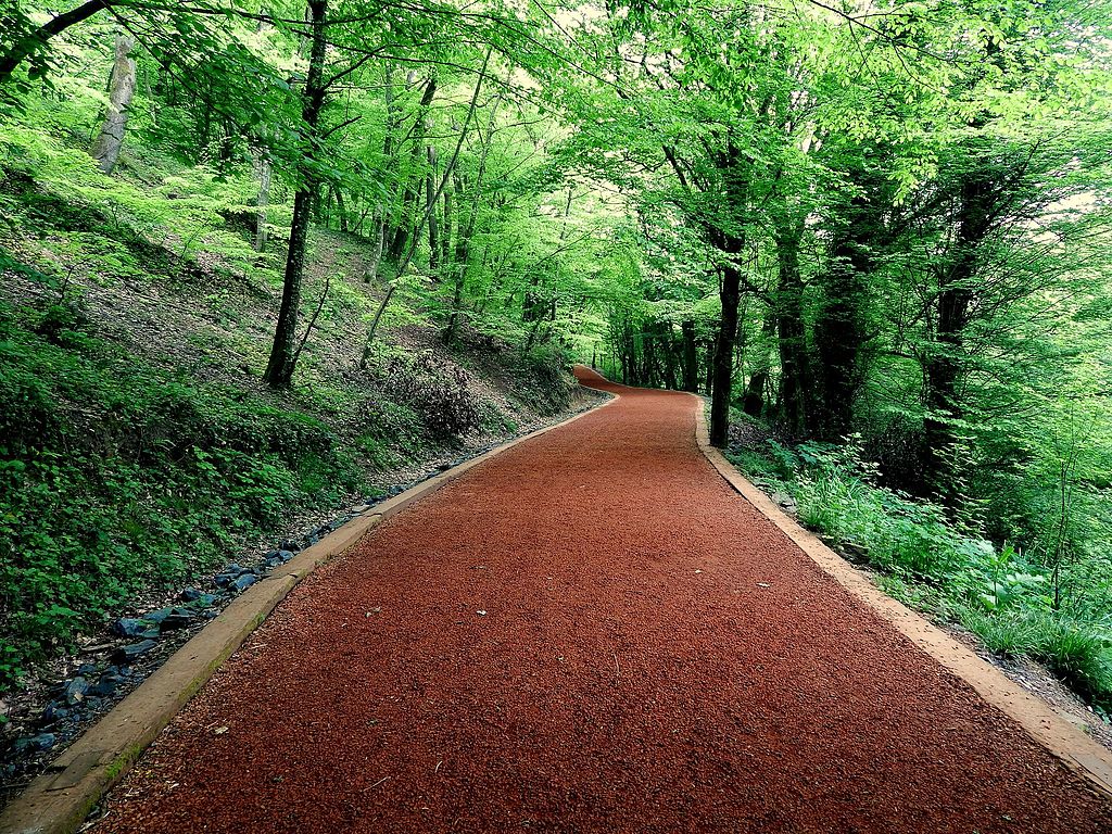 Belgrad Ormanları Belgrad Ormanları