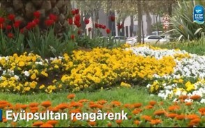Eyüpsultan rengârenk Eyüpsultan rengârenk