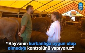 Eyüpsultan Belediyesinden modern Kurban Kesim Alan Eyüpsultan Belediyesinden modern Kurban Kesim Alan