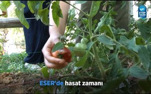 ESER'de Hasat Zamanı ESER'de Hasat Zamanı