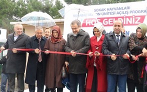 Sokak Hayvanları Rehabilitasyon Ünitesi hizmete..